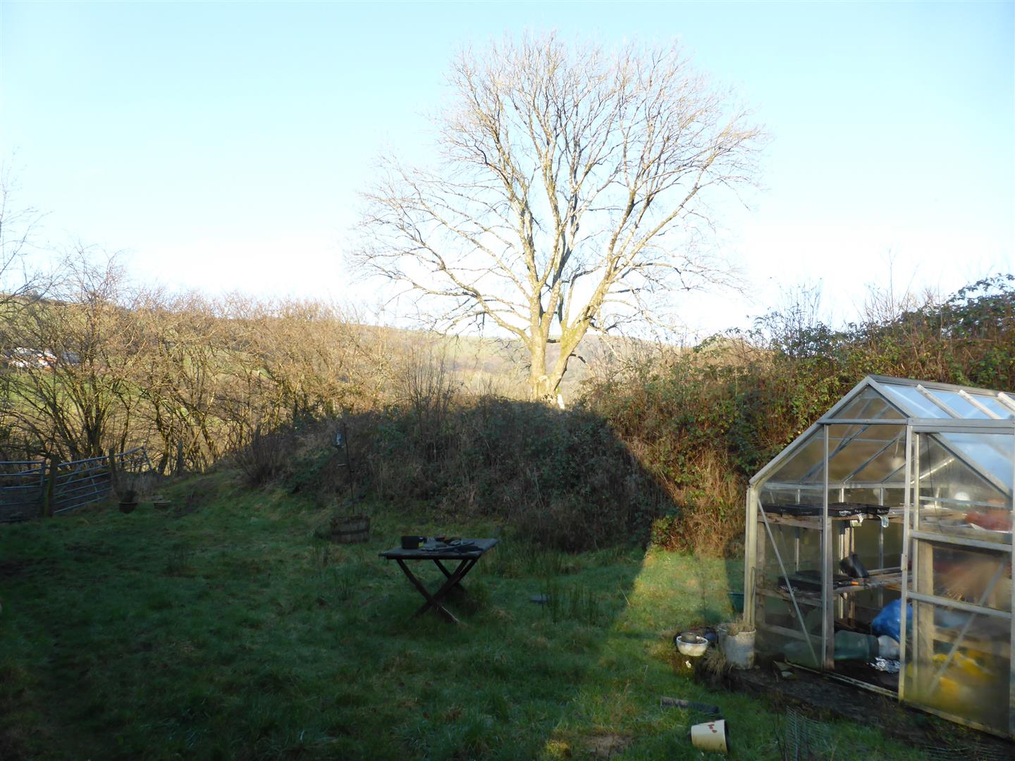 GROUNDS